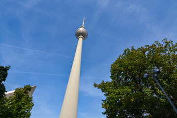 Fototapeta premium Berlin Fernsehturm with trees and blue sky from below
