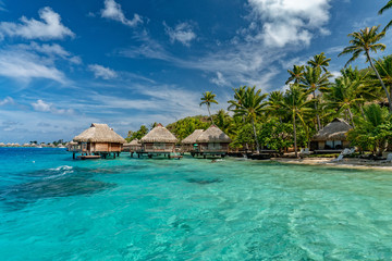 bora bora french polynesia aerial airplane view luxury resort overwater - obrazy, fototapety, plakaty