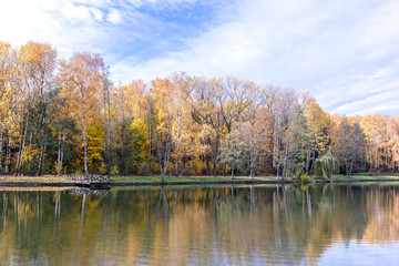 Fototapeta na wymiar autumn scenic background. park with yellow trees near water lake and blue sky view