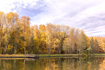 Fototapeta na wymiar beautiful natural landscape. city park with autumnal trees near lake under blue sky