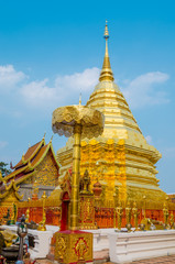 Fototapeta premium golden pagoda at Chiang Mai. Thailand