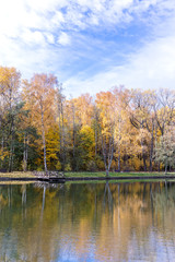 beautiful autumnal landscape. park during fall season by the lake