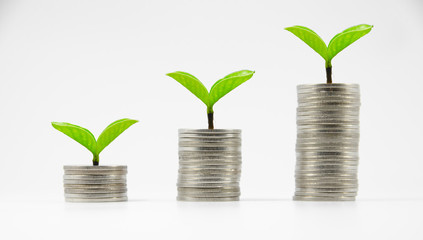 three thai coin stacks on white background