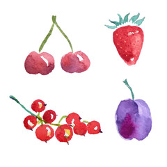 Watercolor fruits & berries