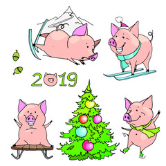 Vector isolated images of guinea pigs - athletes. You can use for the design of New Year's greeting cards, napkins, book illustration and other works