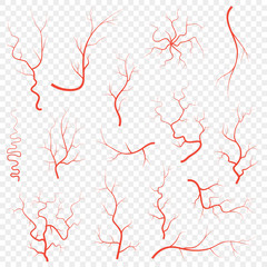Human red eye veins set, anatomy blood vessel arteries illustration group. Vector medical eyeball vein arteries system map. Veins isolated on white background - obrazy, fototapety, plakaty