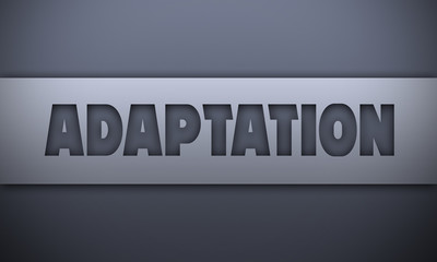 adaptation - word on silver background