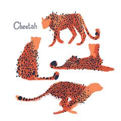 Graphic collection of cheetahs drawn with rough brush © Ekaterina Glazkova