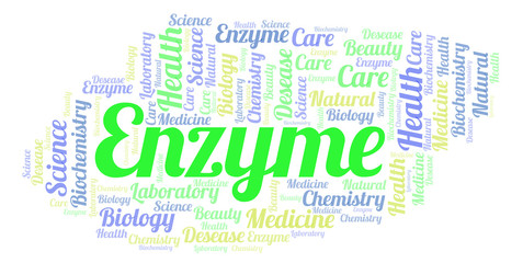 Enzyme word cloud.