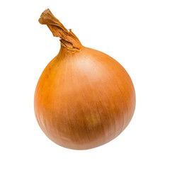 Ripe onion. The selected path. Isolated on white background.