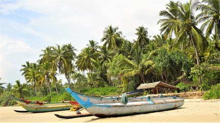 Plakat beach in Sri Lanka