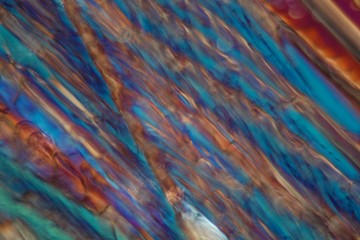 White wine under a microscope, Chardonnay.