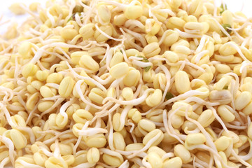 Sprouted beans on a white background. National Asian cuisine, preparation for salad, vegetarianism or raw food. Food background.