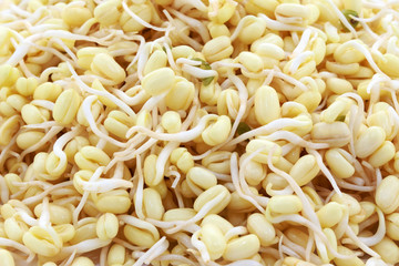 Sprouted beans on a white background. National Asian cuisine, preparation for salad, vegetarianism or raw food. Food background.