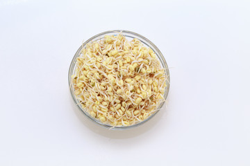 Sprouted beans on a white background. National Asian cuisine, preparation for salad, vegetarianism or raw food. Food background.