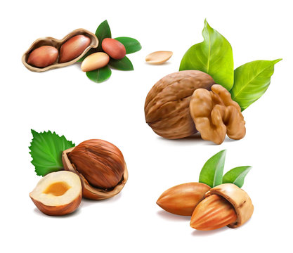 Vector illustration mix of different types nuts on a white backgroun