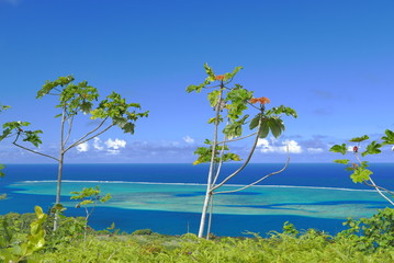 Fototapeta na wymiar lagon sur tahiti