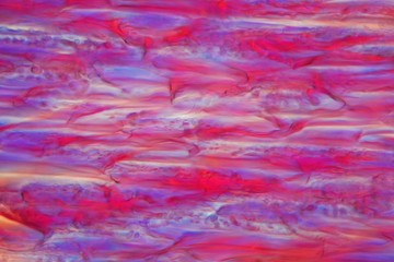 Red wine under a microscope, Tempranillo.