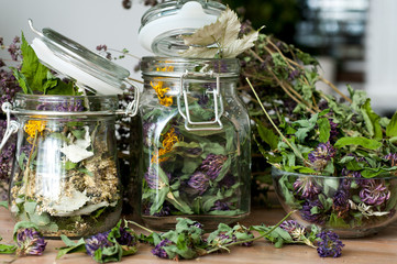 collection of dried herbs