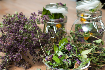 collection of dried herbs