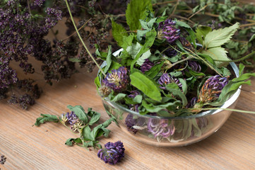 collection of dried herbs