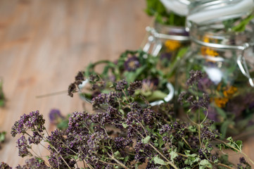 collection of dried herbs