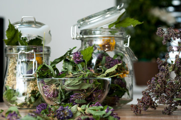 collection of dried herbs