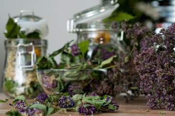 collection of dried herbs