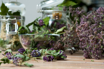 collection of dried herbs