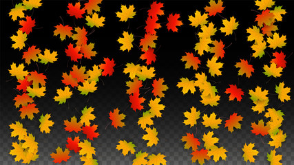 September Vector Background with Golden Falling Leaves. Autumn Illustration with Maple Red, Orange, Yellow Foliage. Isolated Leaf on Transparent Background. Bright Swirl. Suitable for Posters.