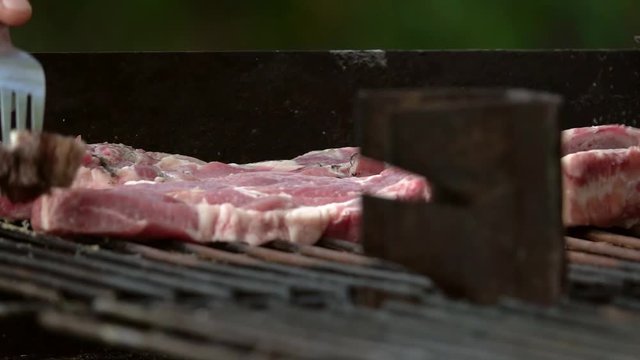 pork steak on the grill on BBQ background. Slow motion