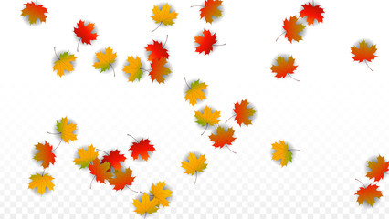 September Vector Background with Golden Falling Leaves. Autumn Illustration with Maple Red, Orange, Yellow Foliage. Isolated Leaf on Transparent Background. Bright Swirl. Suitable for Posters.