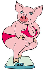 2019, animal, pigs, pig, symbol year, happy new year, new, new year 2019, art, symbol, pig vector, symbol of the year, calendar, calendars, background, card, cartoon, celebration, character,christmas