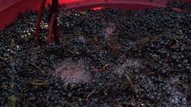 Winemaking. Mixing "cap" of grape skins.