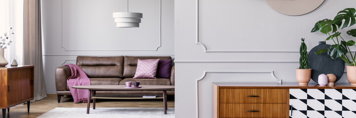 Plants on wooden cabinet in grey living room interior with pink blanket on leather couch. Real photo