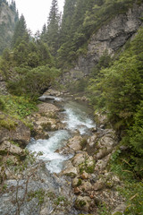 Fototapeta na wymiar Fast river near forest in Bucegi mountains, Romania