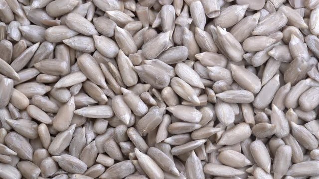 Peeled sunflower seeds close up rotation loopable 4k top view. Food  background. Gastronomy concept, organic food. Macro sunflower seeds