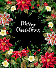 Merry Christmas poster or banner with december flowers and slogan. Vector.