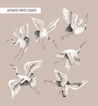Japanese white crane in batik style. Vector illustration.