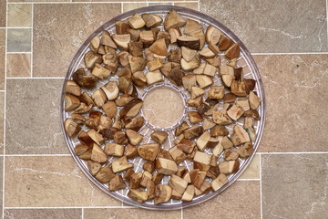 Harvesting mushrooms for the winter, drying and frosting close-up