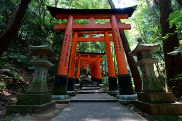 Fushimi Inari-taishae shrine arches
