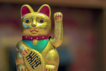 Japan lucky cat or Maneki Neko with Japanese characters mean Good luck and fortune on gold medal on...