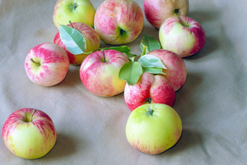 Mature red and green apples with leaves on a light table background