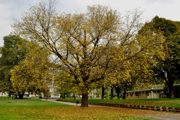 Beautiful autumn park with colorful trees and leave