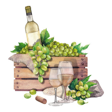 Watercolor box of bottle and grapes, wine glasses