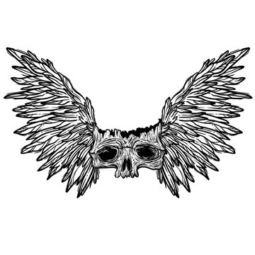 Vector illustration with a human skull and wings. Gothic brutal skull. For print t-shirts or book coloring.
