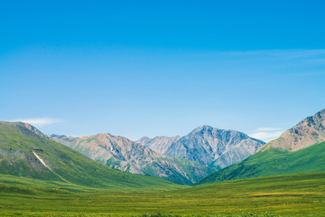 Fototapeta premium Giant mountains with snow above green valley under clear blue sky. Meadow with rich vegetation of highlands in sunlight. Amazing sunny mountain landscape of majestic nature.