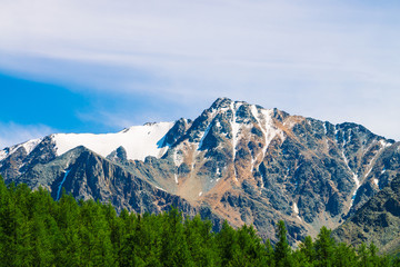 Fototapeta premium Snowy mountain top behind wooded hill under blue clear sky. Rocky ridge above coniferous forest. Atmospheric minimalistic landscape of majestic nature.