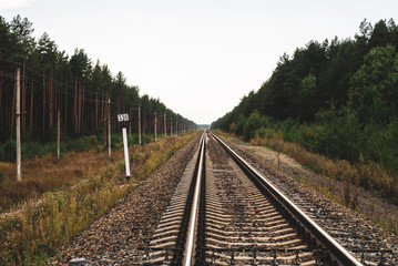 Fototapeta premium Railway traveling in perspective across forest. Journey on rail track. Poles with wires along rails. Atmospheric landscape with railroad along bushes and trees with copy space.