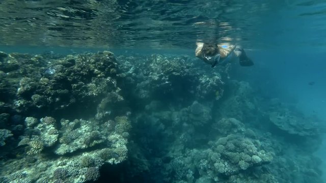 Woman in a mask and fins swim on the surface of water near coral reef (Low-angle shot, Underwater shot, 4K / 60fps)
